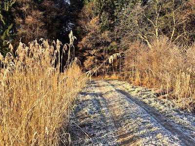 Wanderweg entlang der Teiche