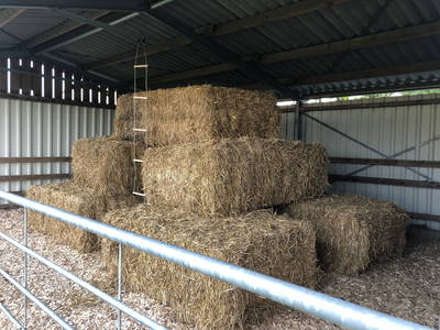 Bild 14 aus  Biolandhof-von Agris