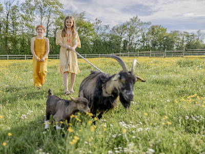 Bild 14 aus  LandSelection Hof Hardthöhe