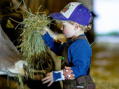Bild 37 aus  Hofgut Schleinsee  - idyllisch am eigenen See