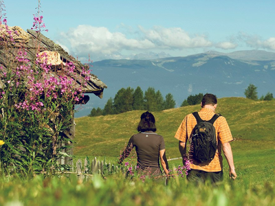 Bild 27 aus  Stoffnerhof