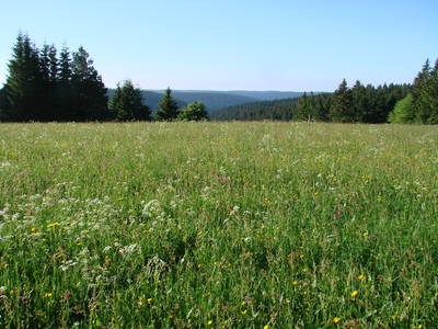 Bild 17 aus  Gschwinghof