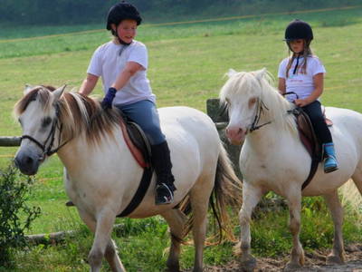 Bild 17 aus  Wieshof