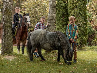Bild 25 aus  Ferienhof Rösch