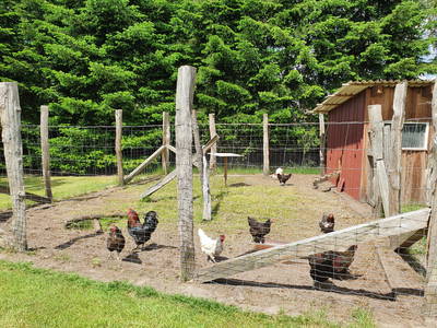 Bild 22 aus  Ferienhof Wegmann