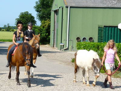 Bild 19 aus  Inselurlaub Fehmarn