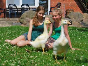 Bild 5 aus  Feriendorf Weinberghof