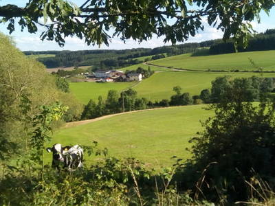 Bild 17 aus  Familienbauernhof Faß