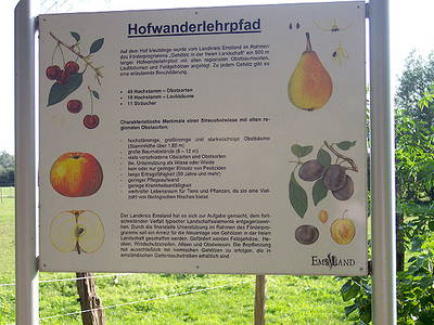 Bild 22 aus  Ferien & Freizeithof Meutstege