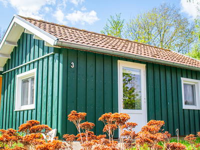 Bild 4 aus  Mitteltalhof "Lebensraum mit Vision"