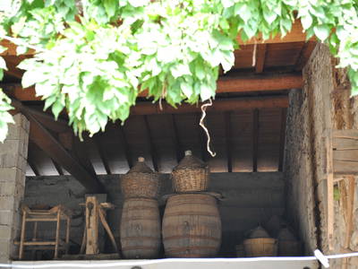 Bild 16 aus  Bauerhofurlaub zwischen den Touristenattraktionen Gardasee, Verona und Mantua