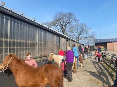 Bild 6 aus  Ferienhof Sell Bauernhofurlaub Ostsee Ponys