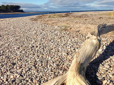Bild 6 aus  Doune Cottage Findhorn