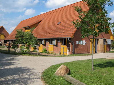 Bild 2 aus  Pferdehof Ruhnau FN