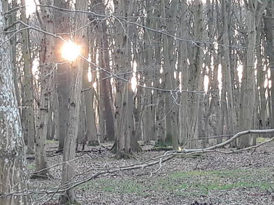 Bild 19 aus  Urlaub unterm Reet