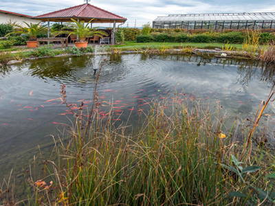 Bild 11 aus  Brunnenhof Hiss