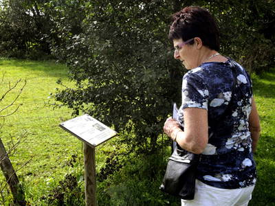 Bild 23 aus  Ferien & Freizeithof Meutstege