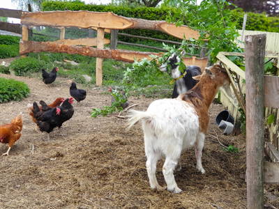 Bild 18 aus  Ferienhof-Marx