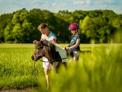 Bild 47 aus  LandSelection Grieshof
