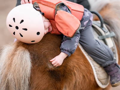 Bild 14 aus  Premium - Ferienhof Lunau an der Ostsee