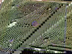 Bild 16 aus  "Höhenhof - Erlebnisbauernhof"