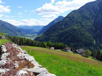 Bild 5 aus  Rieplechnhof