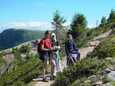 Bild 35 aus  Steinerhof