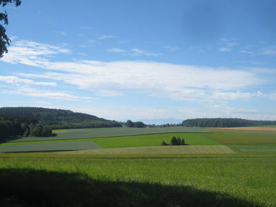 Bild 14 aus  Keller's Hof Heiligenberg