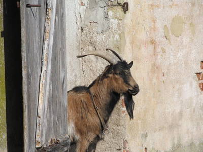 Bild 24 aus  LandSelection Die Schenkenau
