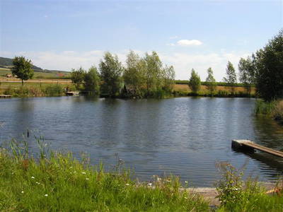 Bild 12 aus  Ferienhof Joas