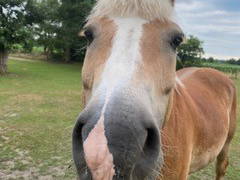 Bild 35 aus  Ferienwohnung Schöner Winkel
