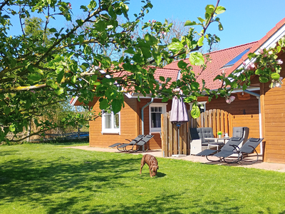 Bild 2 aus  Ferienhof Hasseler