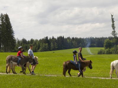 Bild 22 aus  LandSelection Gut Grasleiten