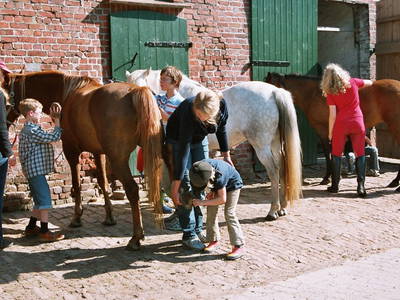 Bild 14 aus  Ferienhof Gellert