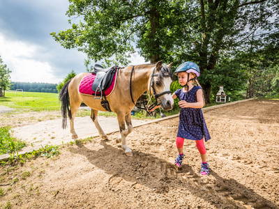 Bild 10 aus  Meuerhof - Familiär. Natürlich. Gut.