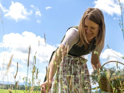 Bild 4 aus  Springerhof