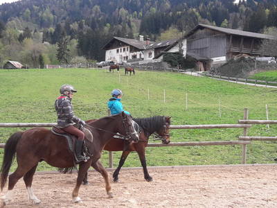 Bild 17 aus  Bichlerhof