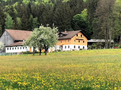 Bild 2 aus  Ferienhof Pauli