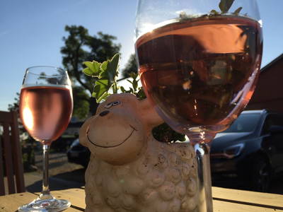 Bild 64 aus  Ahoi Ostsee:  Bauernhof und OstseeUrlaub - Ferienhof Becker in Dahme