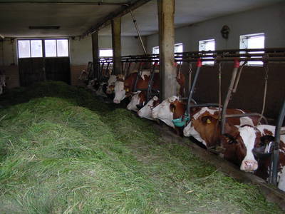 Bild 13 aus  Sammerhof