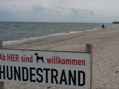 Bild 7 aus  Haus Seestern - Hund Willkommen !