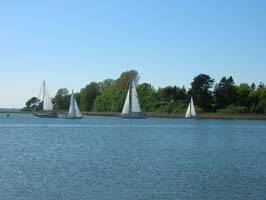 Bild 15 aus  Idyll an der Schlei