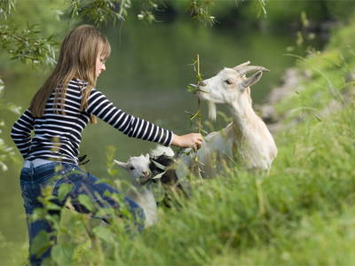 Ziegenfreuden