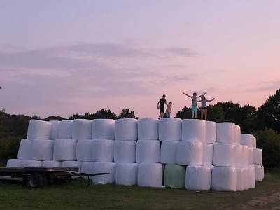 Bild 19 aus  Ferienhof Wiesengrund