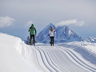 Bild 16 aus  Appartement Birkenhof - Urlaub mit Pferden und Alpakas