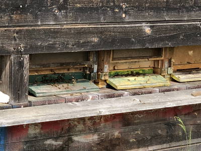 Bild 26 aus  Ferienhof Pauli