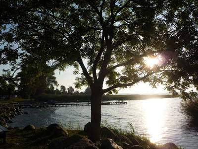 Bild 6 aus  1a Usedom Urlaub