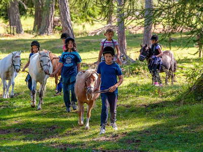 Bild 36 aus  Wietererhof