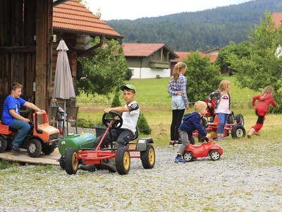 Bild 81 aus  Paulas Bauernhof im Bayerischen Wald