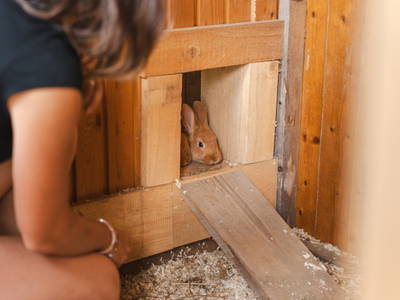 Bild 9 aus  "Forellen - Reiterhof" 5 Sterne Hof direkt am See